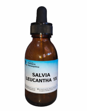 SALVIA LEUCANTHA 1X gotas 100ml (estrés, insomnio, espásmos digestivos)